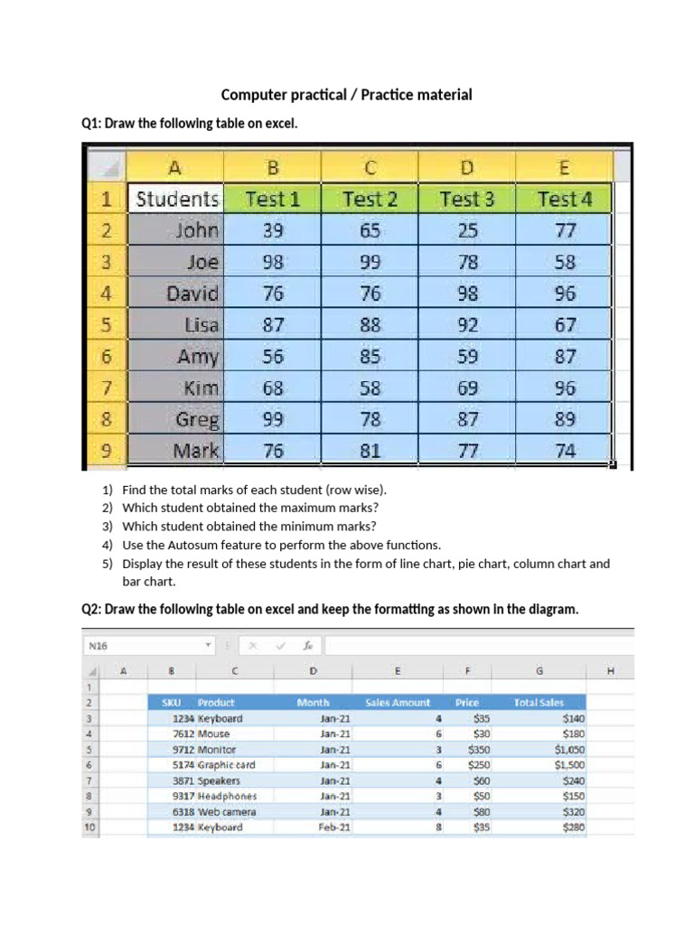 Computer Practical (Practice Worksheet) | PDF
