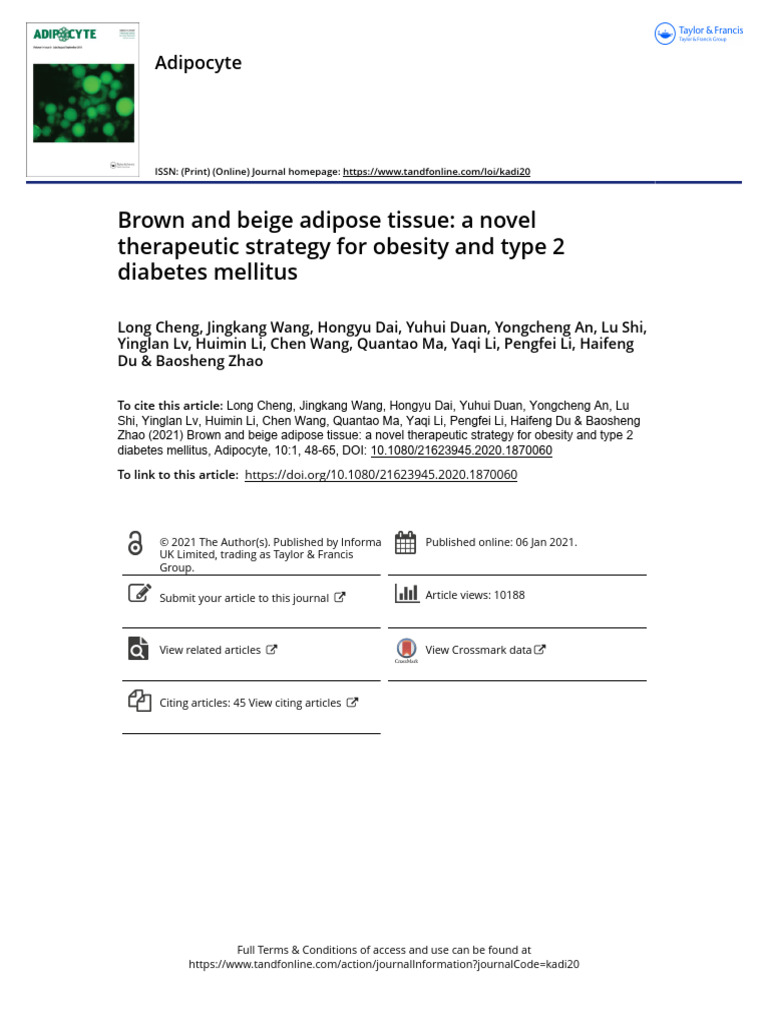 Brown and Beige Adipose Tissue A Novel Therapeutic Strategy For Obesity ...