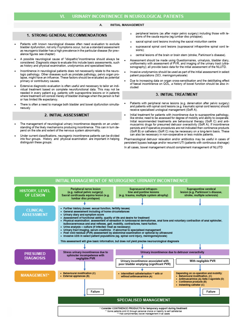 6 Urinary Incontinence in Neurological Patients | PDF