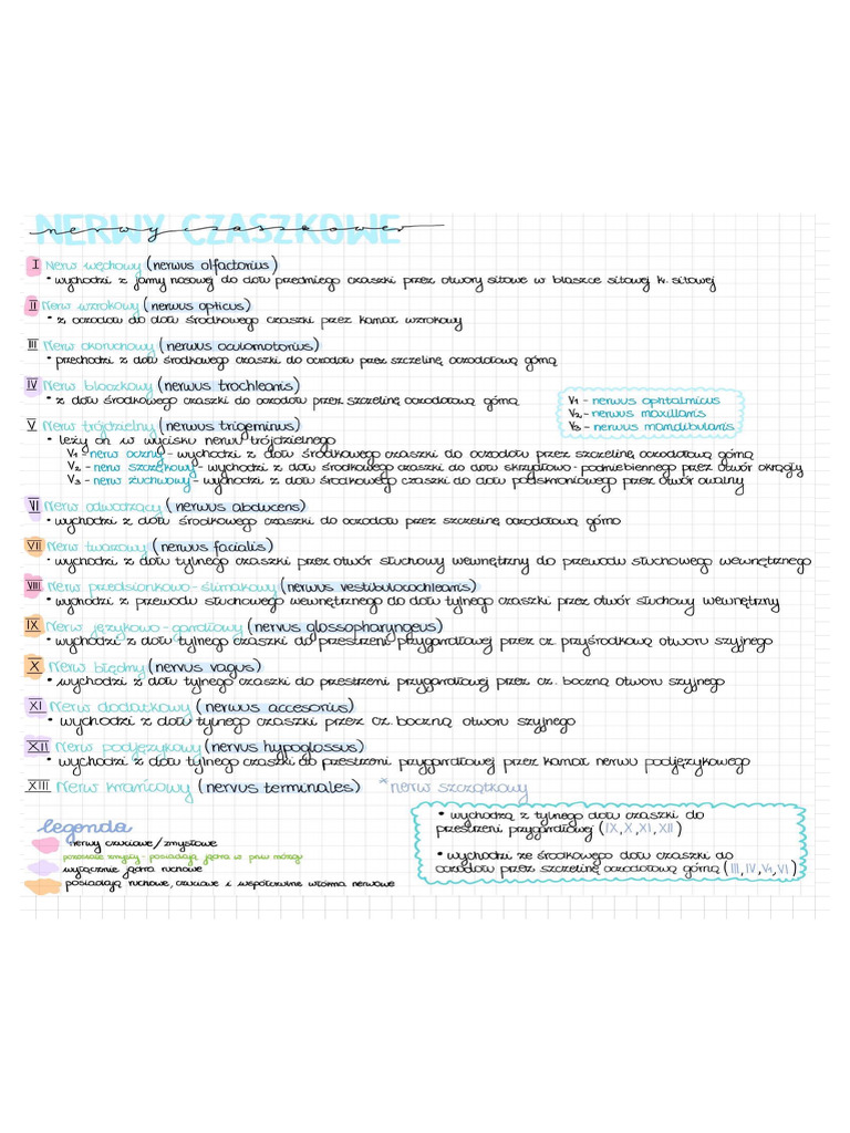 Notatki | PDF