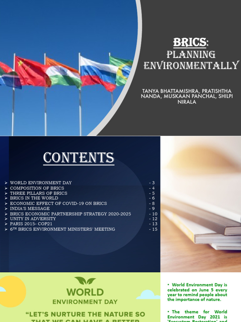 BRICS Economic Partnership Strategy 2025 | PDF | Bric | Climate Change