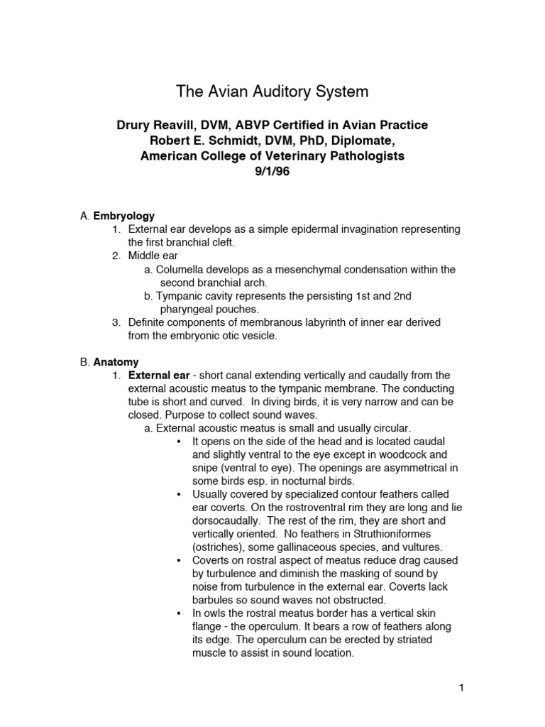 The Avian Auditory System | PDF