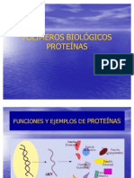Polimeros Biológicos Proteinas
