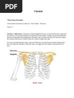 Clavicle