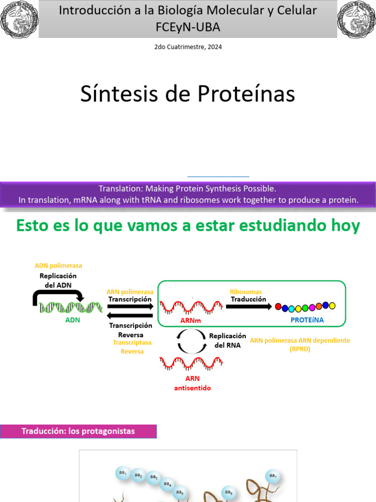 T8 y T9 IBMC 2c 2024 Traduccion GuilleAlonso | PDF
