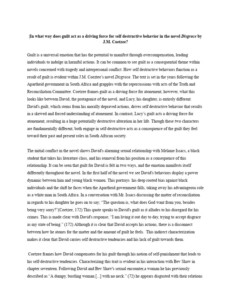 HL Essay Draft | PDF