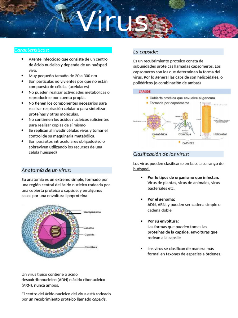 Virus | PDF