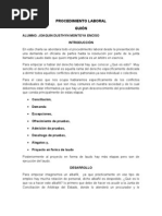 PROCEDIMIENTO LABORAL GUION