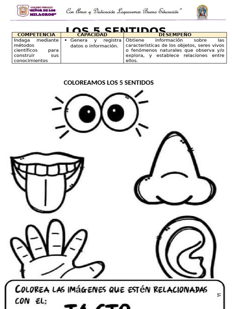 Los 5 Sentidos Pdf