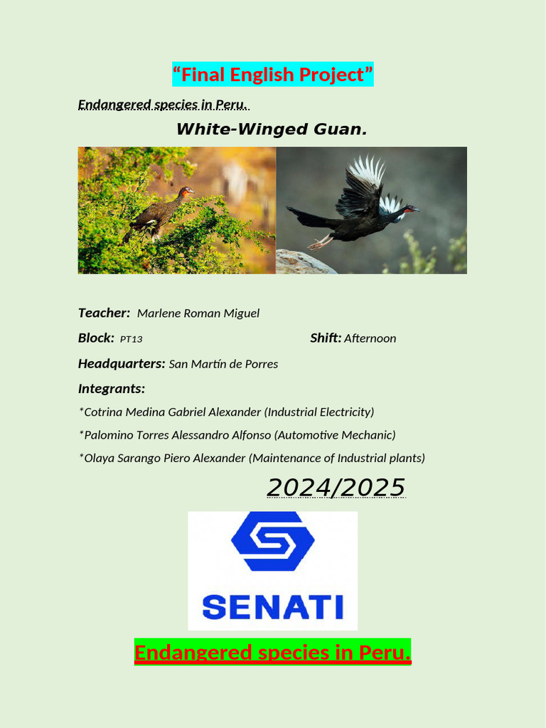 English Project | PDF