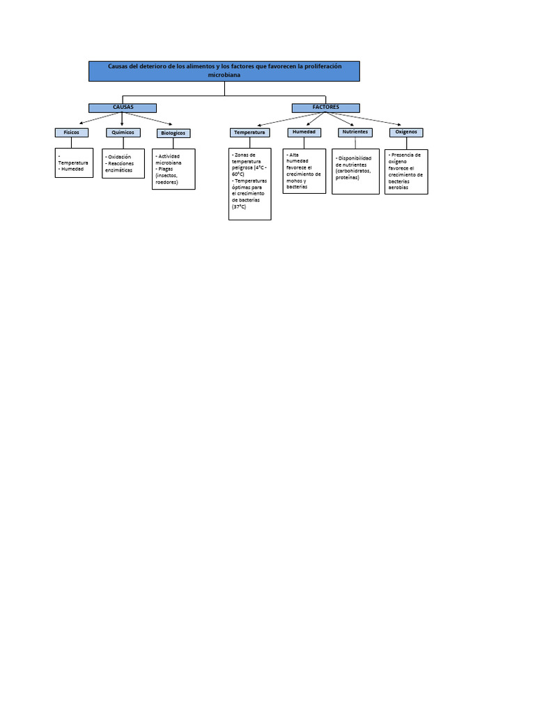 AA1 EV2 Mapa Conceptual Causas Deterioro de Los Alimentos | PDF