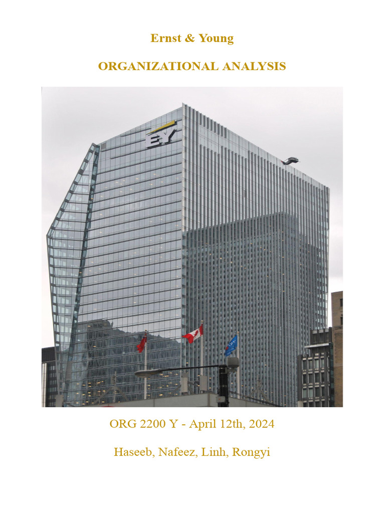 Organizational Analysis Report | PDF