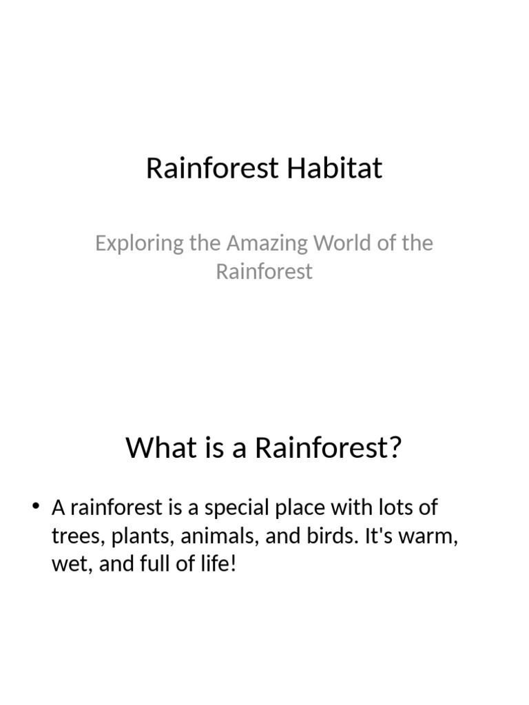 Rainforest Habitat Presentation Grade1 Pdf