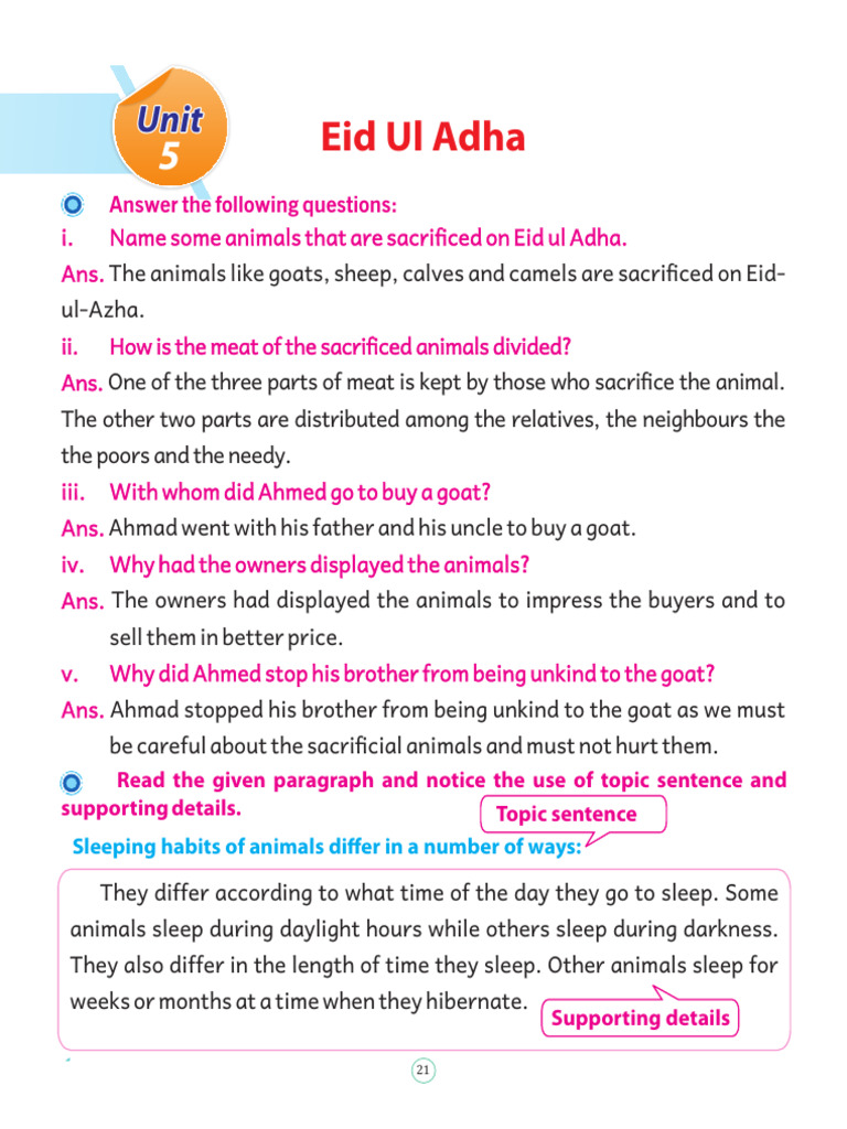 English Class 5 | PDF