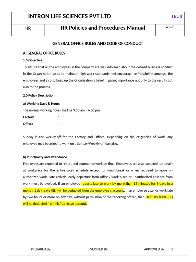 INTRON HR Policies Manual | PDF