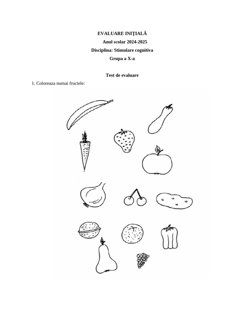Evaluare Initiala - Stimulare Cognitiva-2024-2025 | PDF