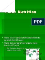 Plant Nutrition