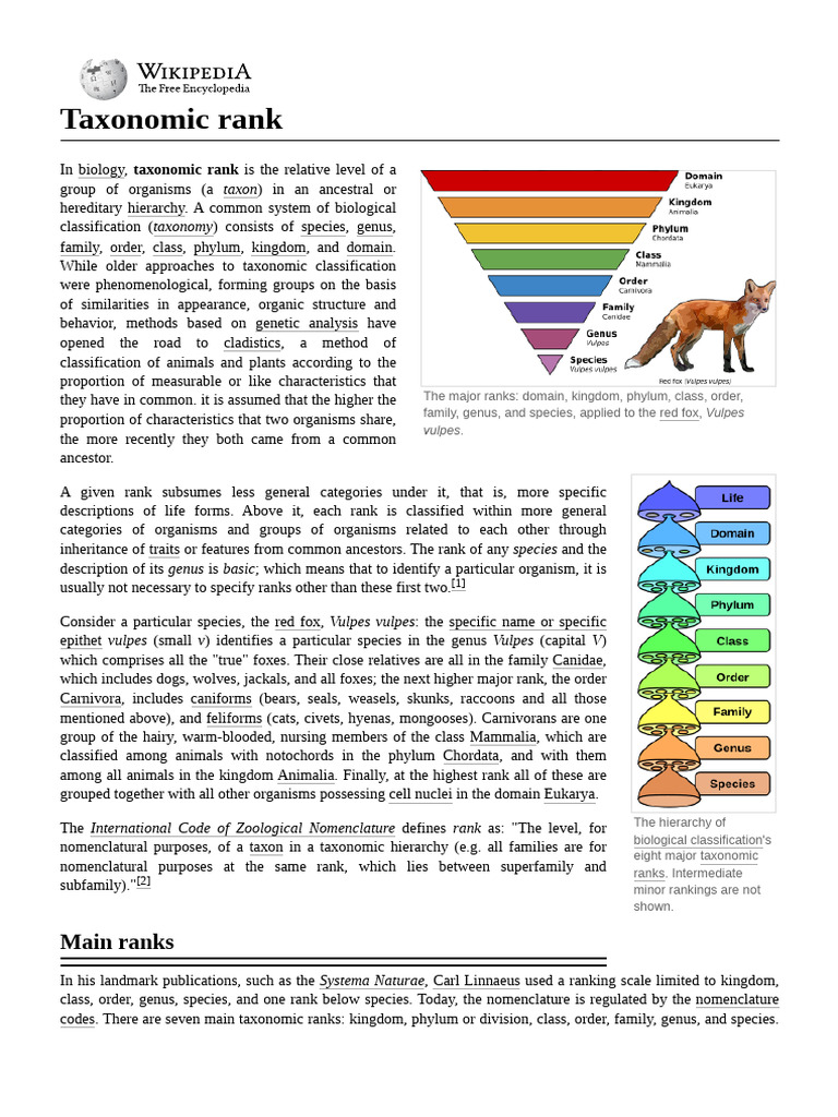 Taxonomic Rank | PDF