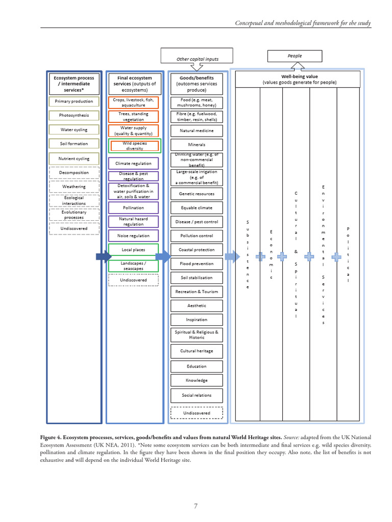 Ecosystem Process / Intermediate Services Final Ecosystem Services ...