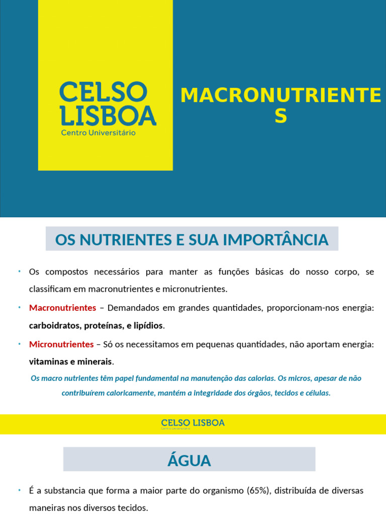 Macro Nutrient Es Pdf