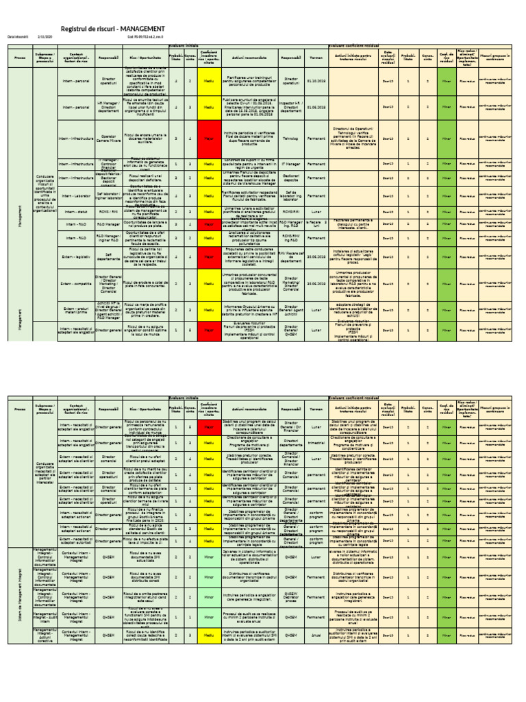 Registrul de Riscuri - Exemplu | PDF
