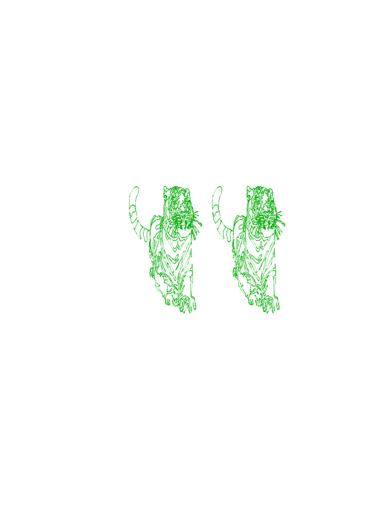 Tiger Outline | PDF