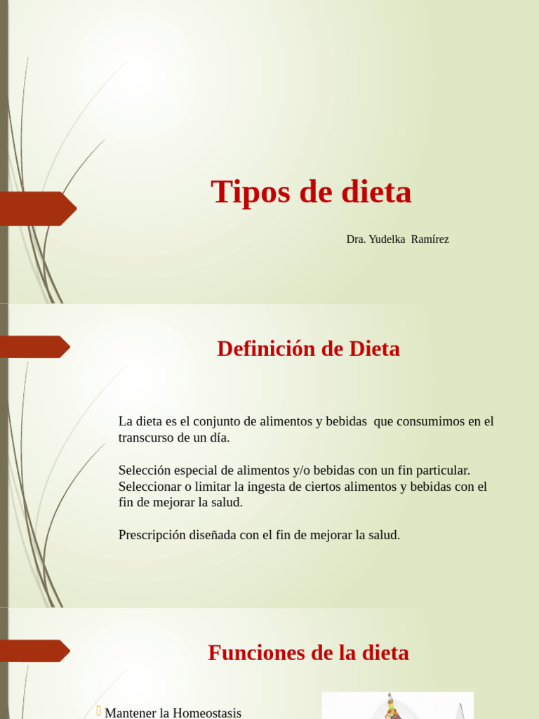 Tipos De Dieta Pdf
