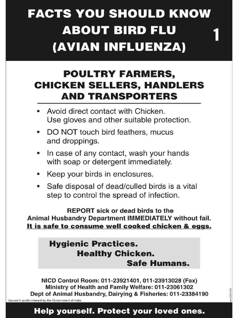 Avian Flu Eng 1 | PDF