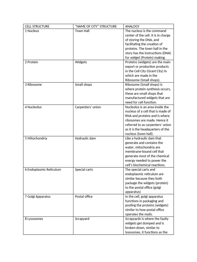 Cell City Analogy | PDF