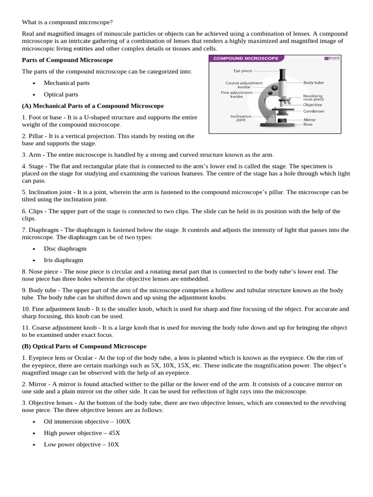 Parts of Compound Microscope | PDF