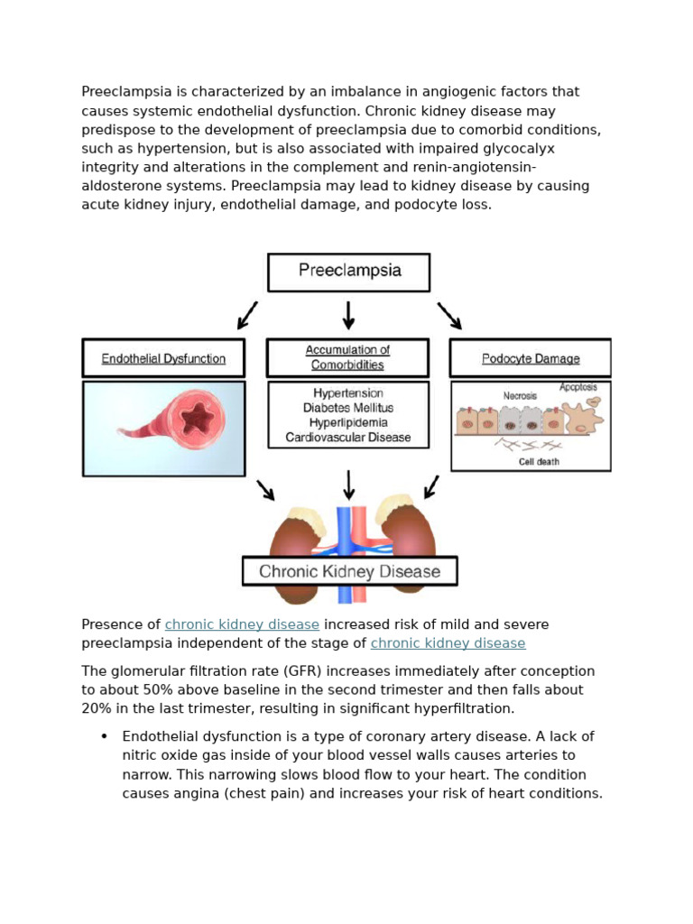 Pre Eclampsia Own Search | PDF