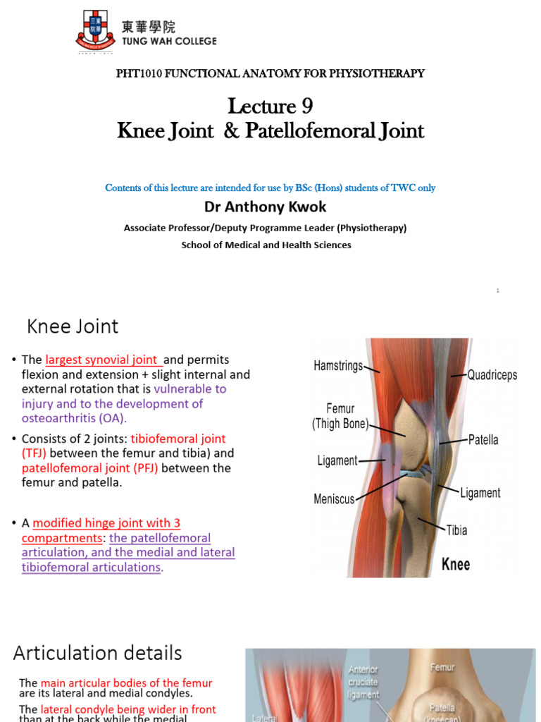 Lecture 9 The Knee Joint and The PFJ Pain - 2023 | PDF | Knee | Science ...
