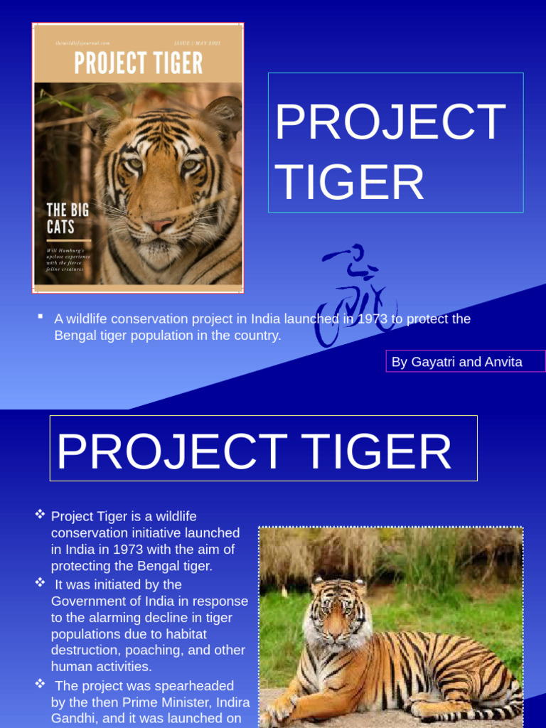 Project Tiger by Gayatri For Seminar | PDF