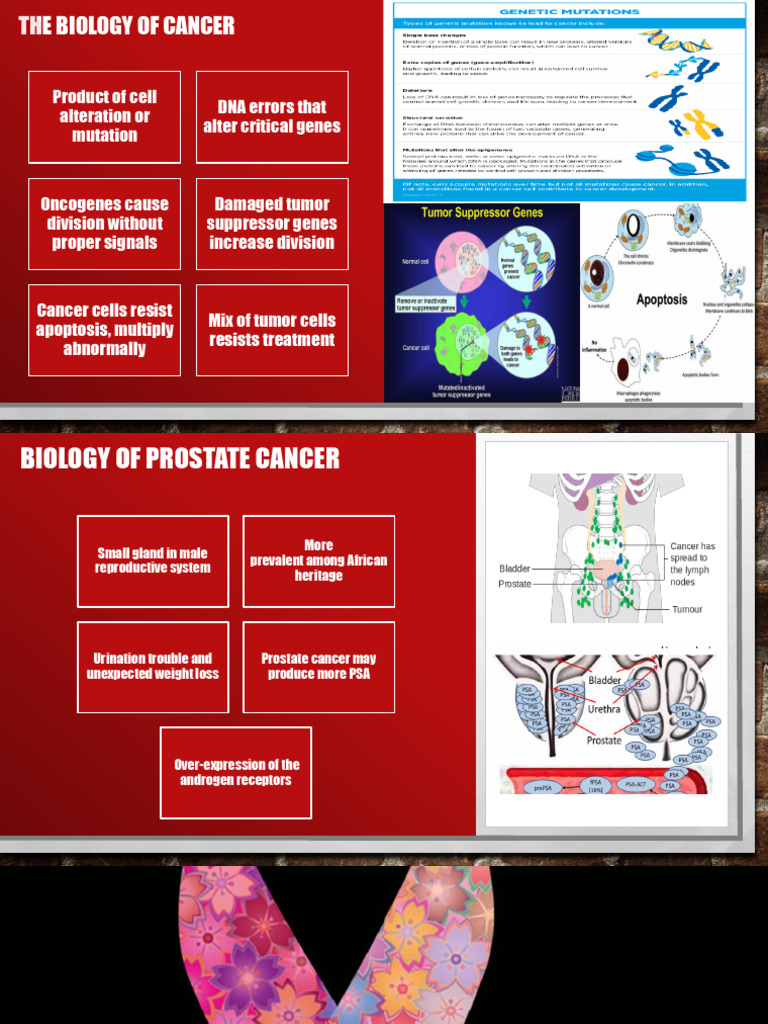 Prostate Cancer Research | PDF