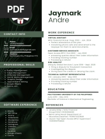 Coconut VA Resume Template