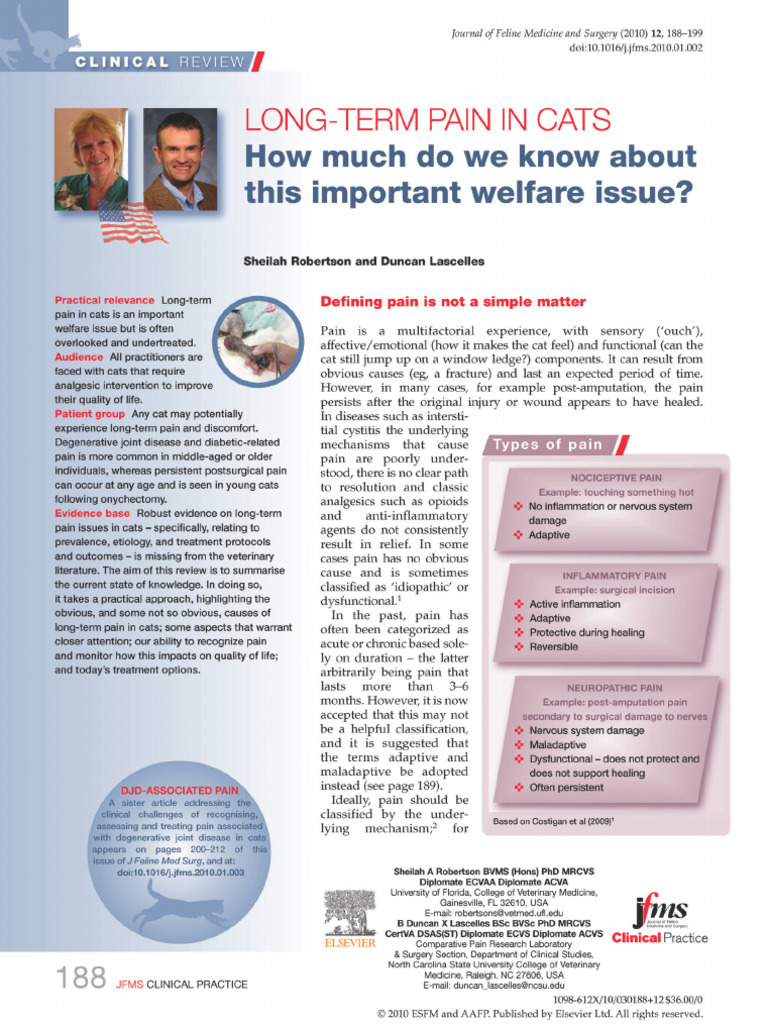 Curated visual reference: Fresh Look at Long Term Pain Management In Cats Pdf Analgesic
