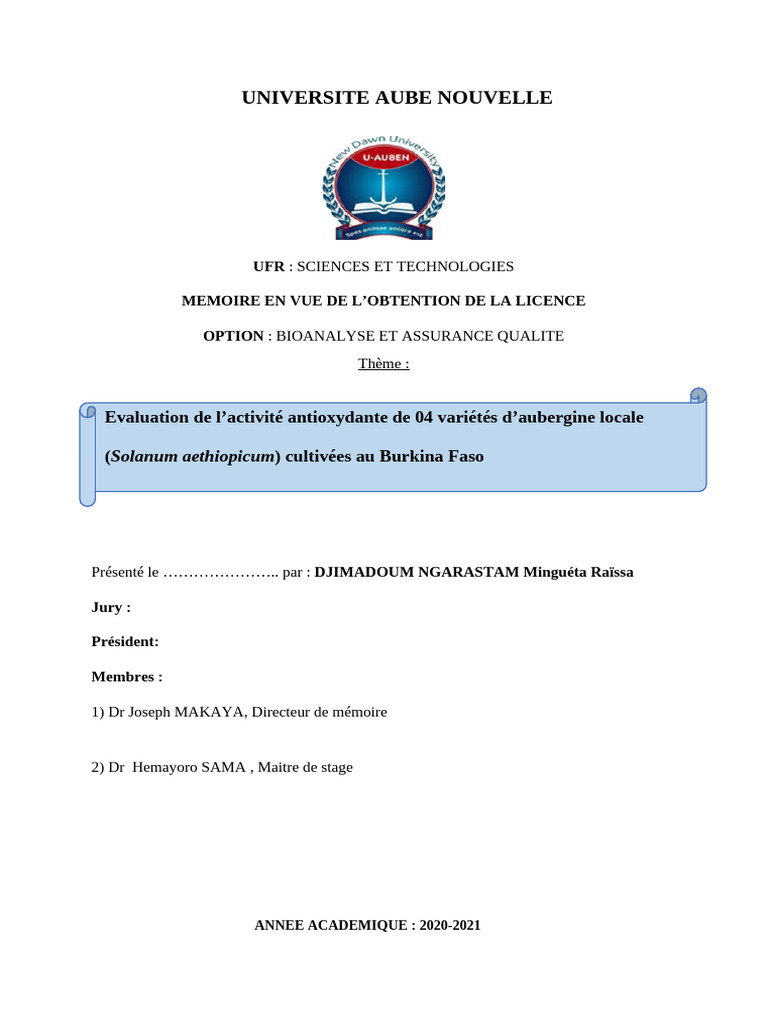 Memoire Final Raissa Pdf