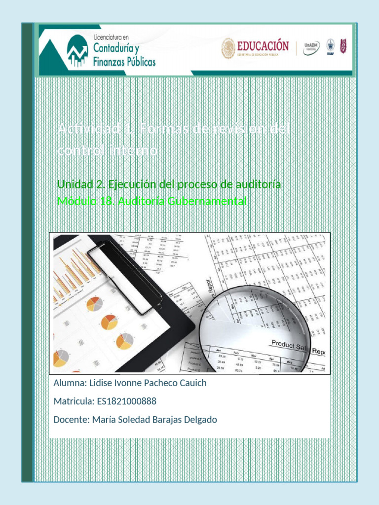 Actividad 1. Formas de Revisión Del Control Interno | PDF