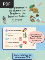 Acompanamiento Del PX Con TEA (Resumido) - 2