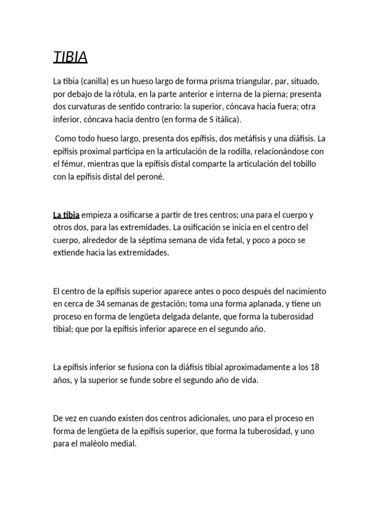 Tibia y Perone | PDF