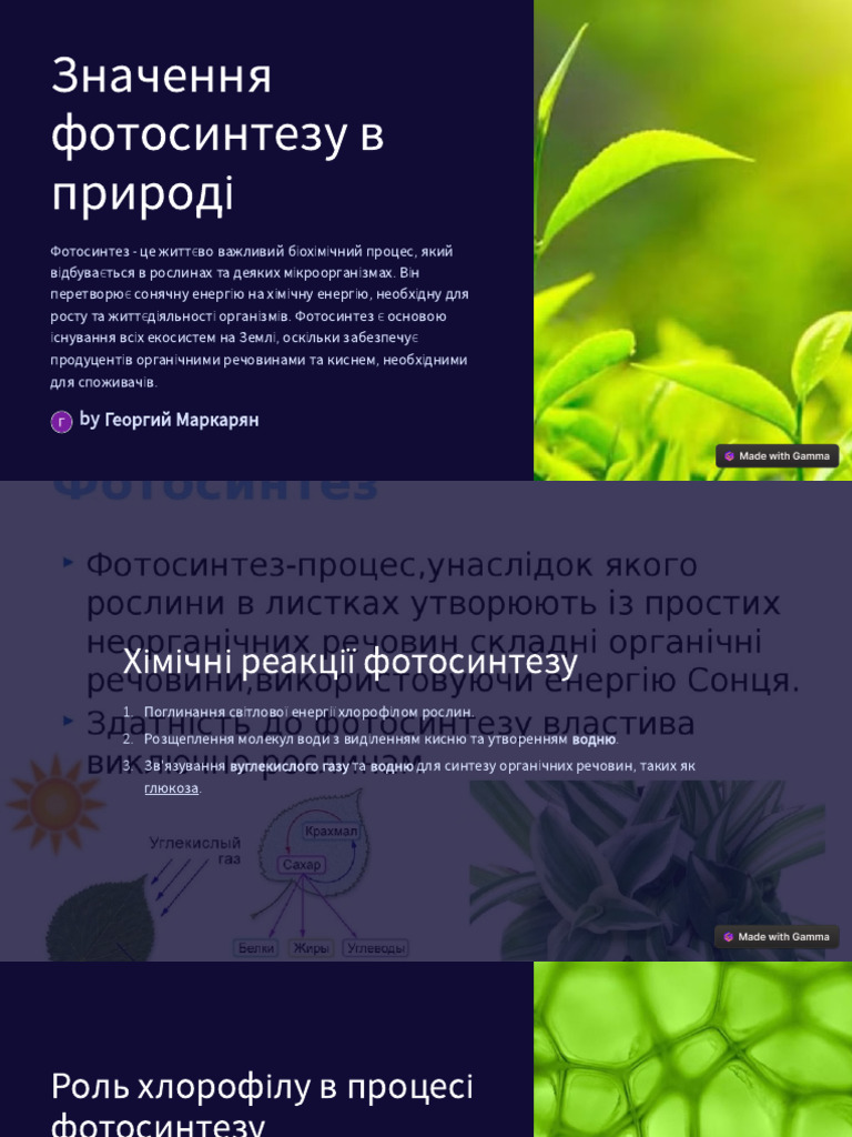 Untitled 5 | PDF