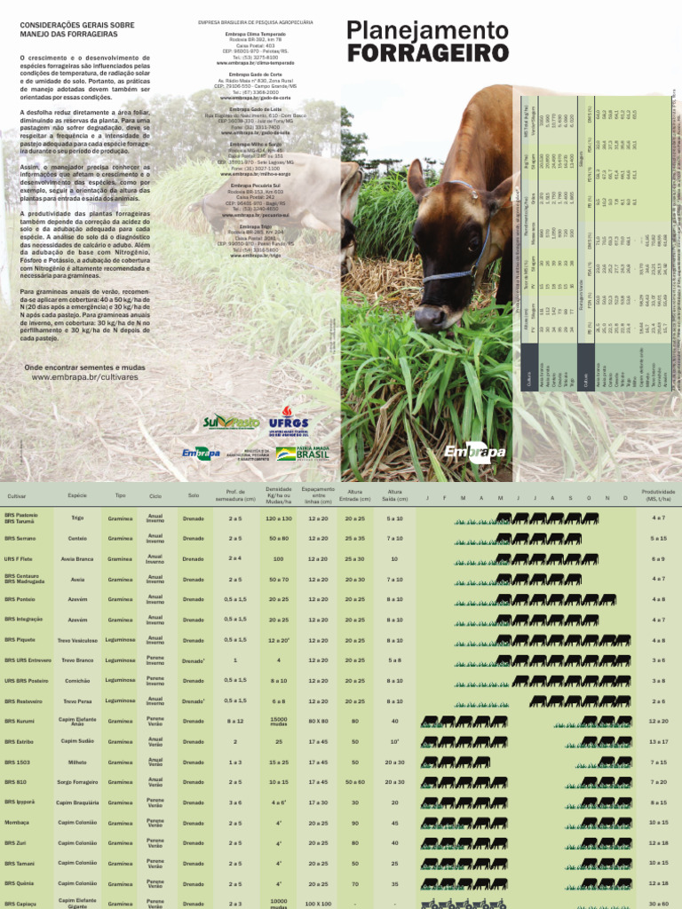 FOLDER-A3-Planejamento-Forrageiro Fodder Forragem Hidropônico | PDF
