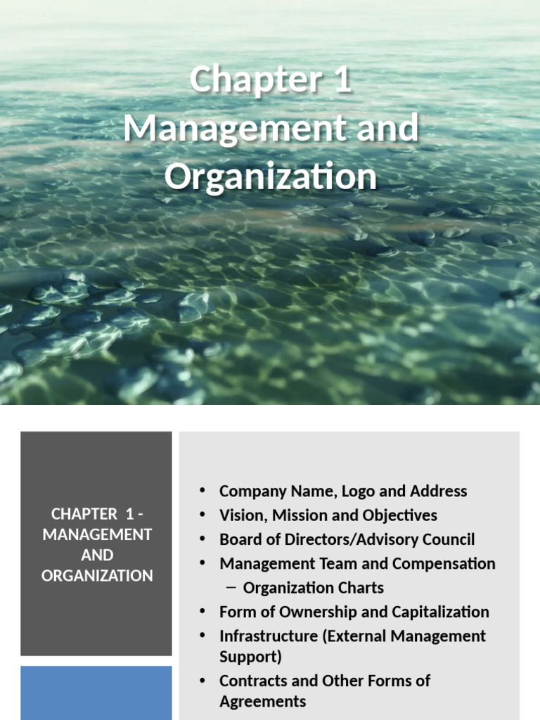Chapter 1-Mgt and Organization | PDF