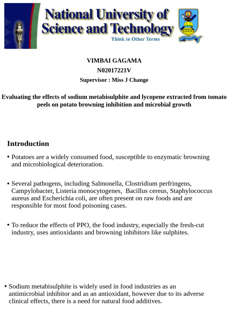 Vimbai Final Presentation 1 | PDF