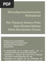 Download MicroAprovechamientos Hidrulicos by Tony Isi SN76990052 doc pdf