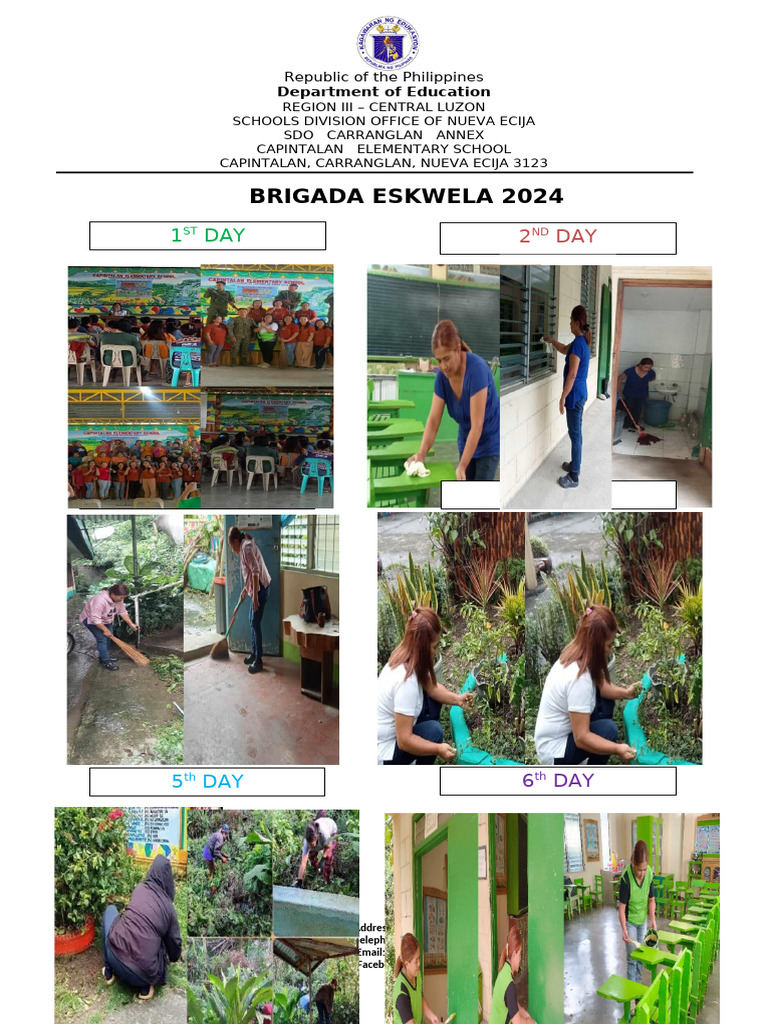 Brigada Eskwela Report | PDF