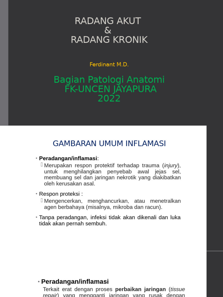 Salinan Fmd2 Inflamasi 2022 Pdf