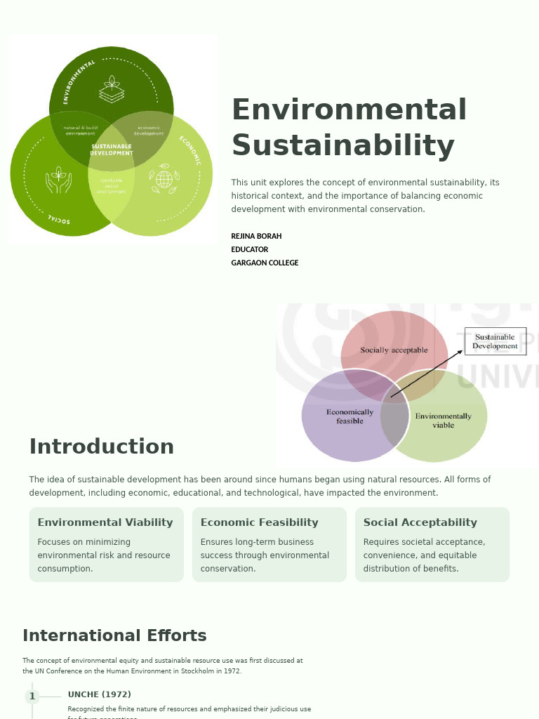 Understanding Environmental Sustainability | PDF | Sustainability ...
