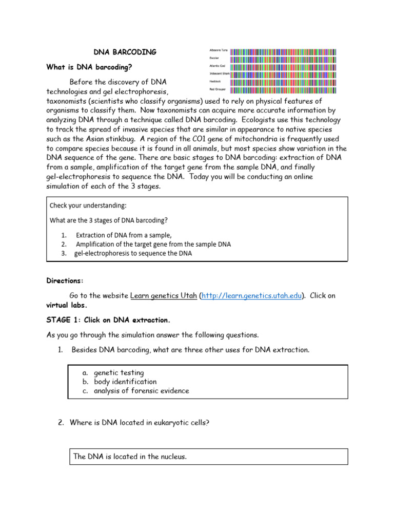 DNA Barcoding - IB | PDF