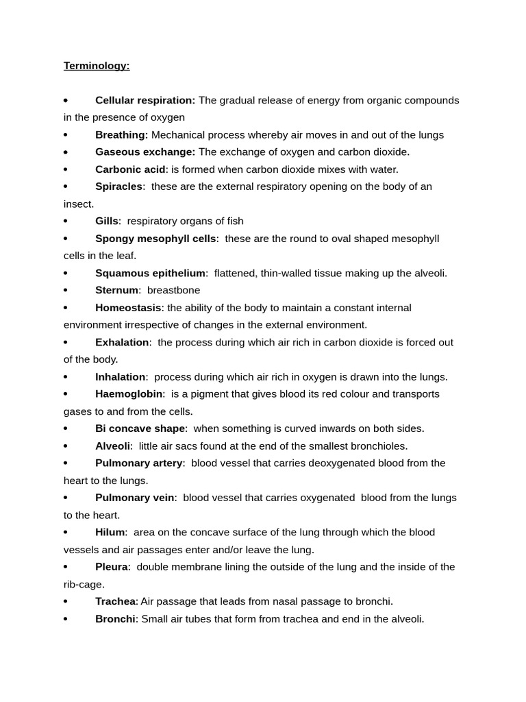 WHAT IS TERMINOLOGY MEANS visual data 4